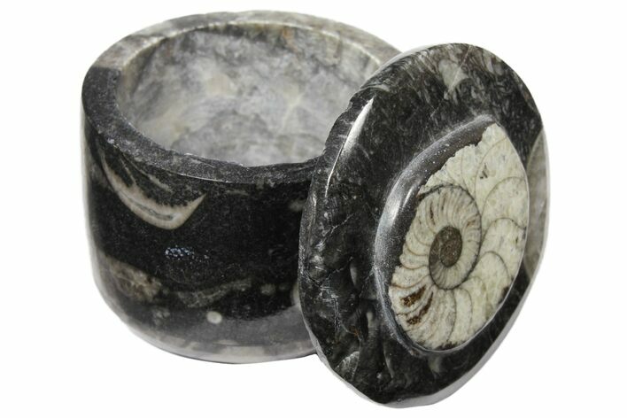 Small Fossil Goniatite Jar (Black) - Stoneware #123555